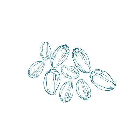 Cardamom